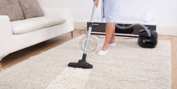 How Do You Choose A Carpet Cleaner?